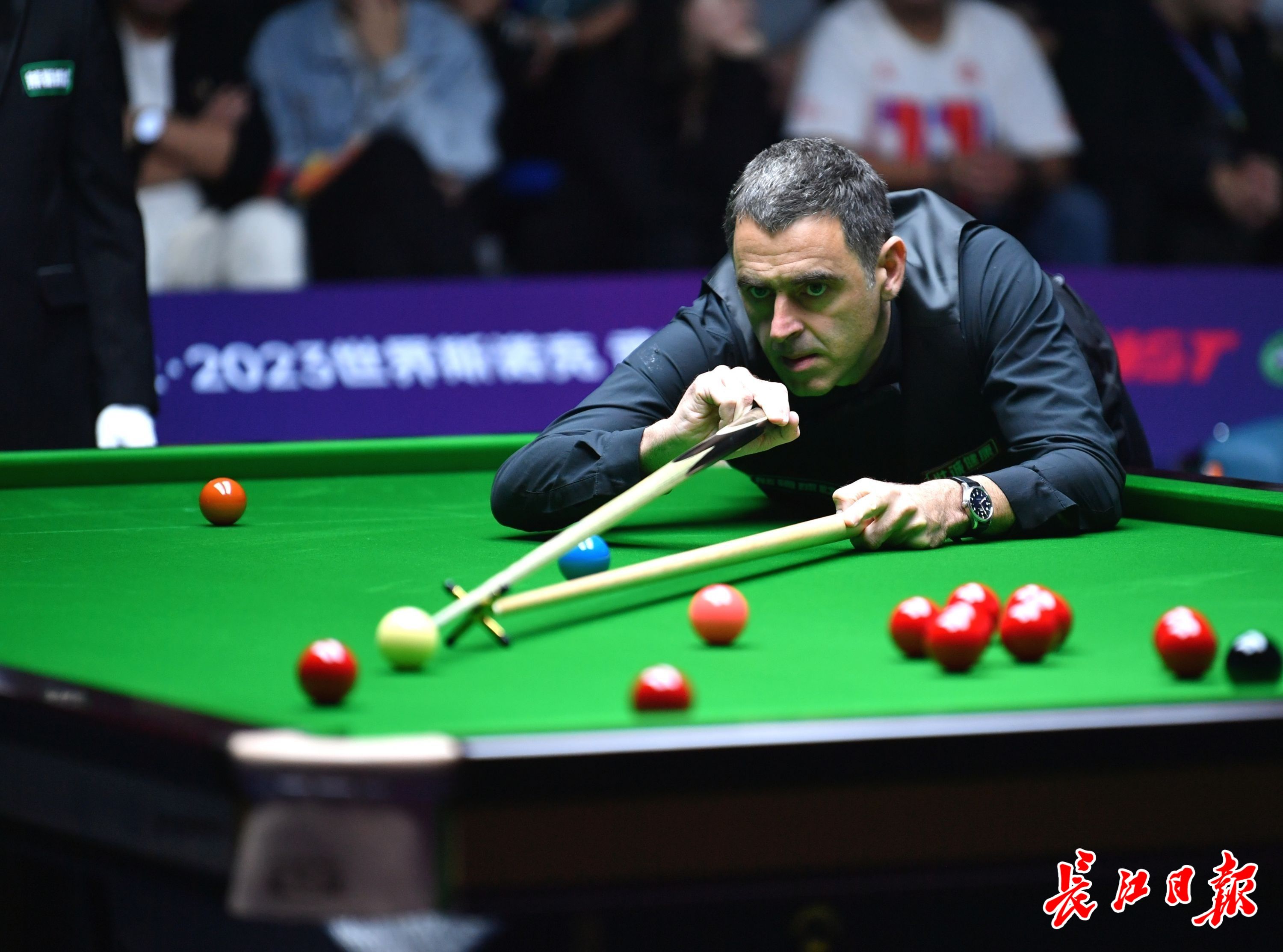 了拜仁在欧 了拜仁在欧