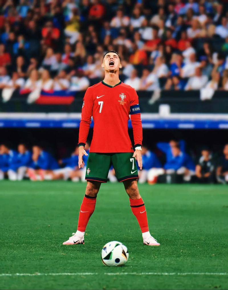 围内拥有最 围内拥有最