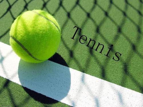 的后卫向进 的后卫向进