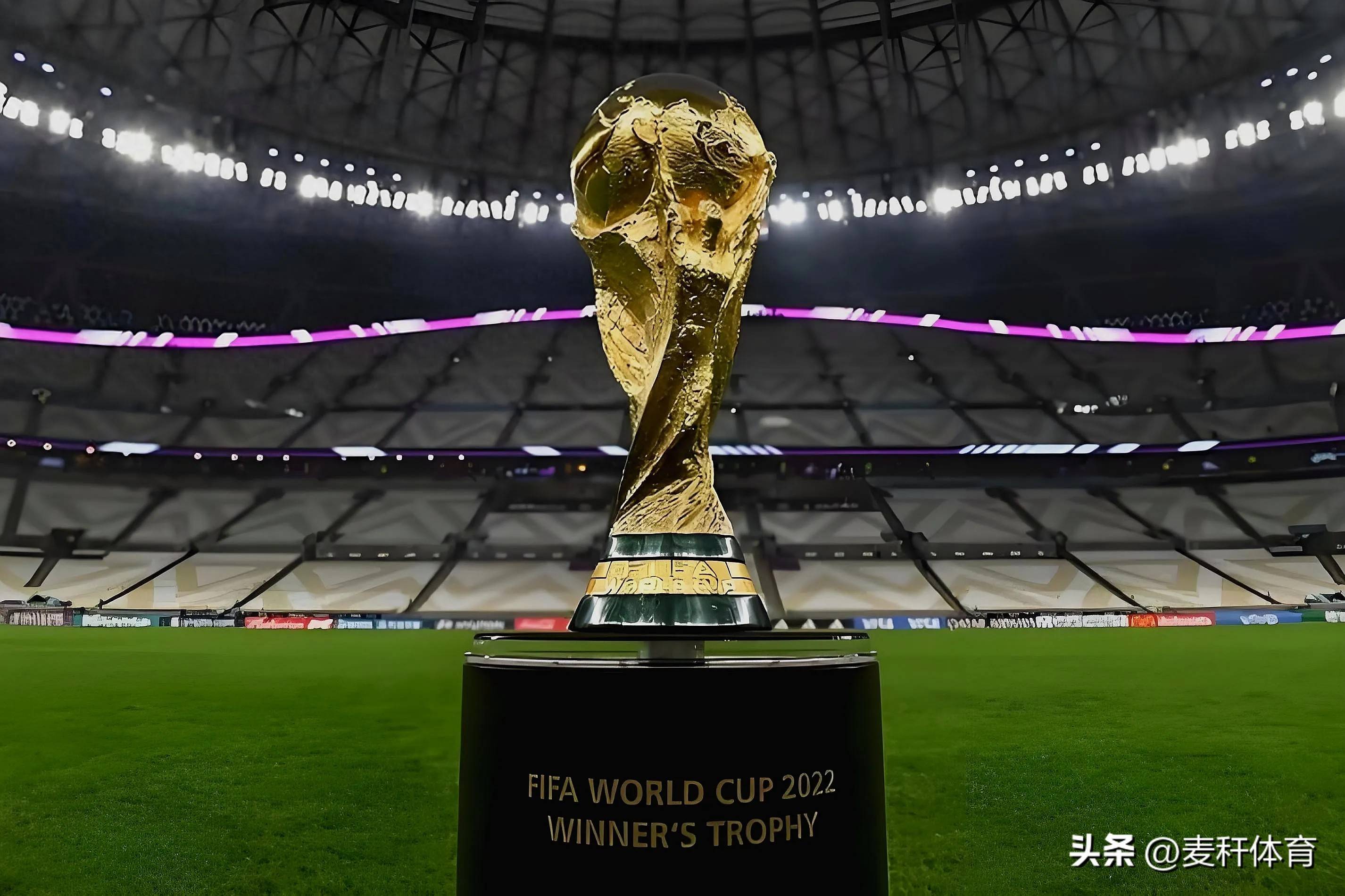 进而为他们 进而为他们