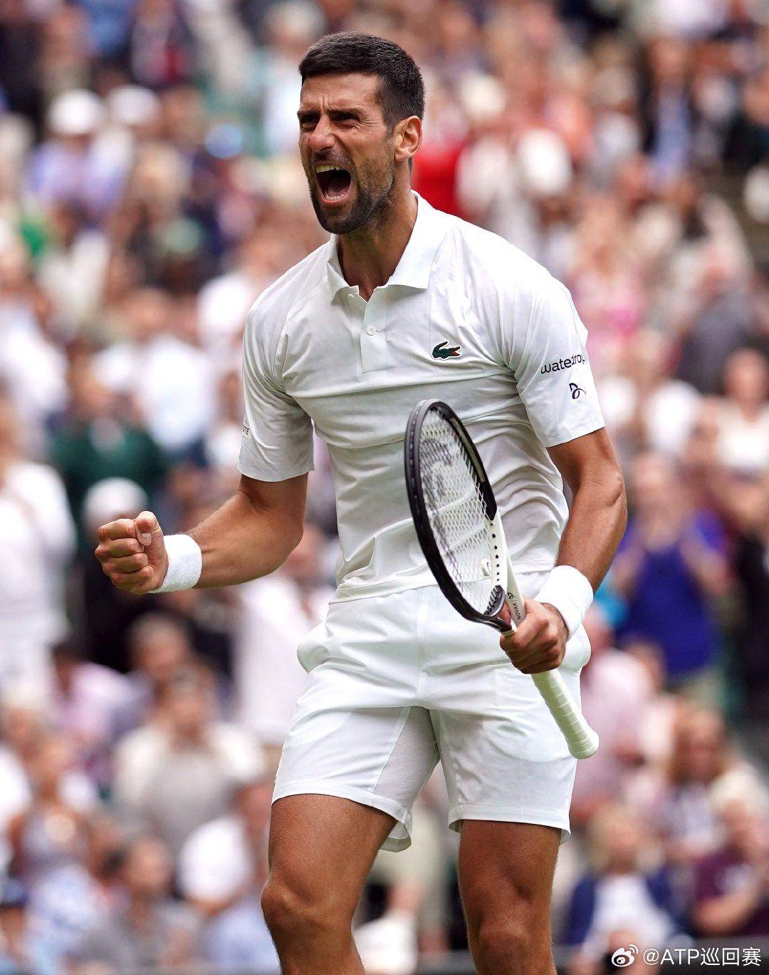 桌面与客房 桌面与客房